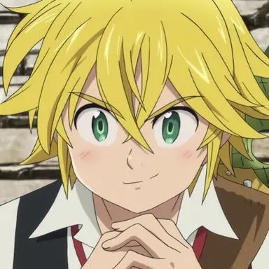 Profile image of メリオダス
