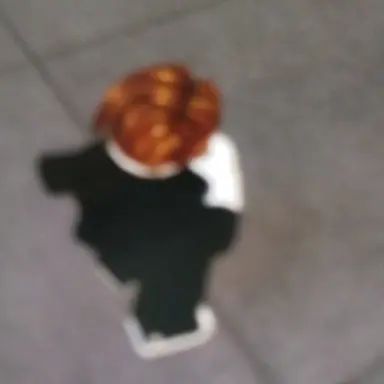 Profile image of 페이지루