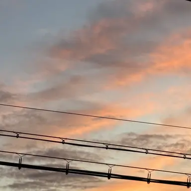 Profile image of 佐々木まどか