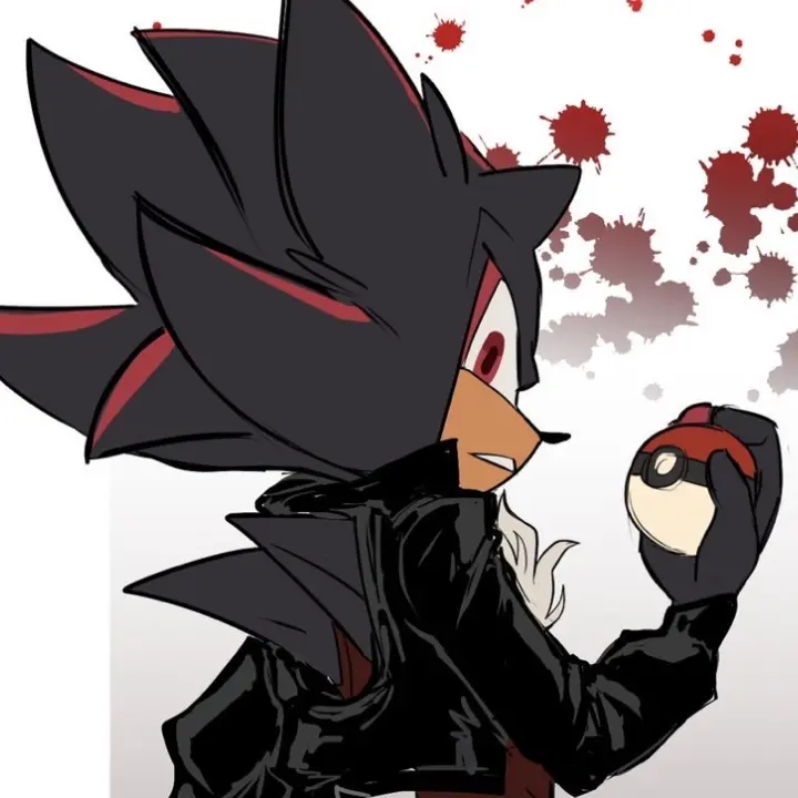 FlimsyMouse5860의 Shadow the hedgehog husband