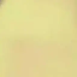 Profile image of だいきり