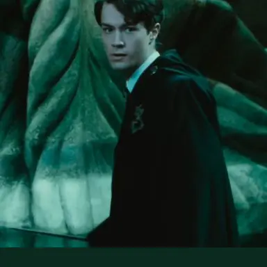 Profile image of Tom riddle