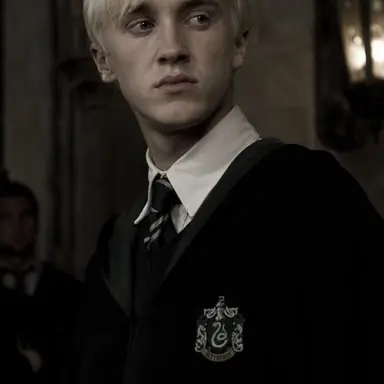 Profile image of Draco nalfoy