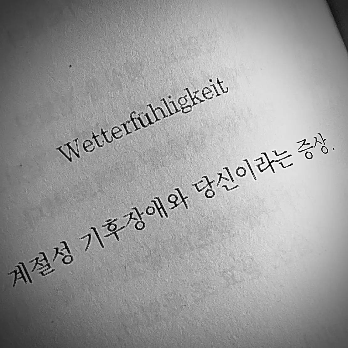 only_shoto의 도소빈 _ 질투