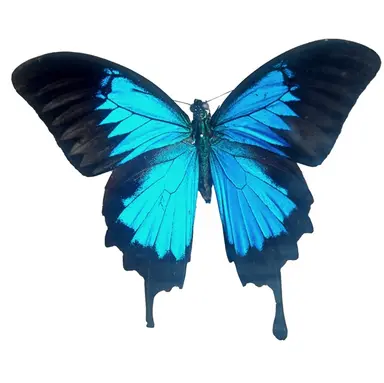 Profile image of 요르정