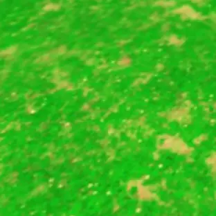 AngstyOkapi0640의 열여덟의 순간