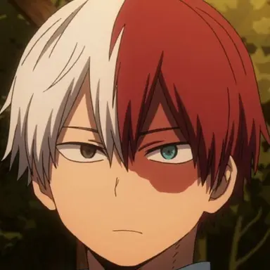 Profile image of Todoroki