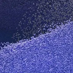 Profile image of 44교시 생존수업