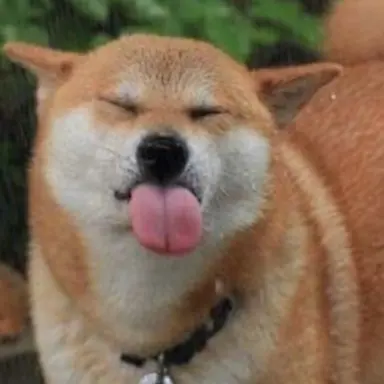 Profile image of 서율