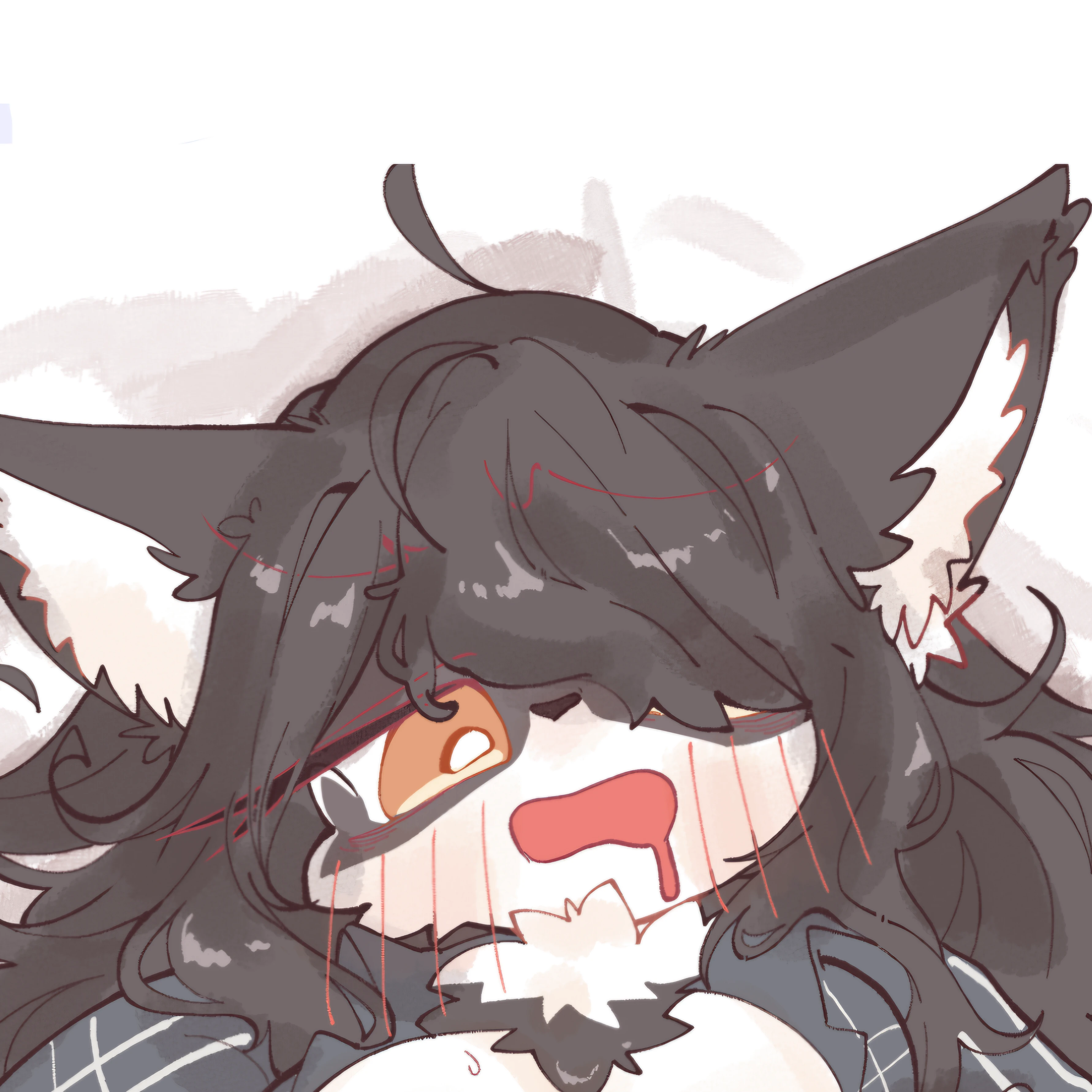 루아