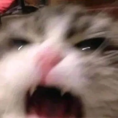 Profile image of 이연