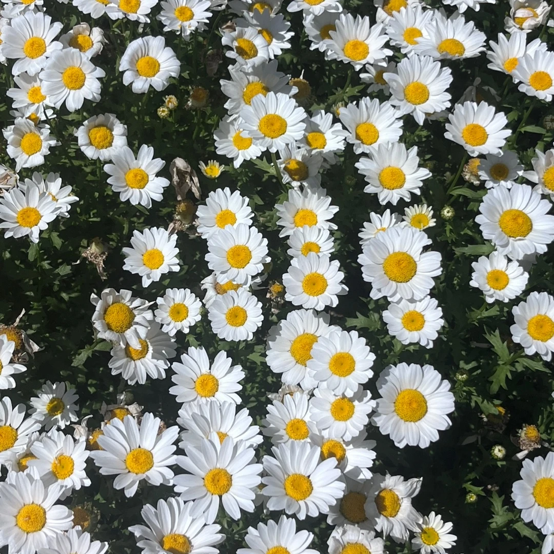 동민
