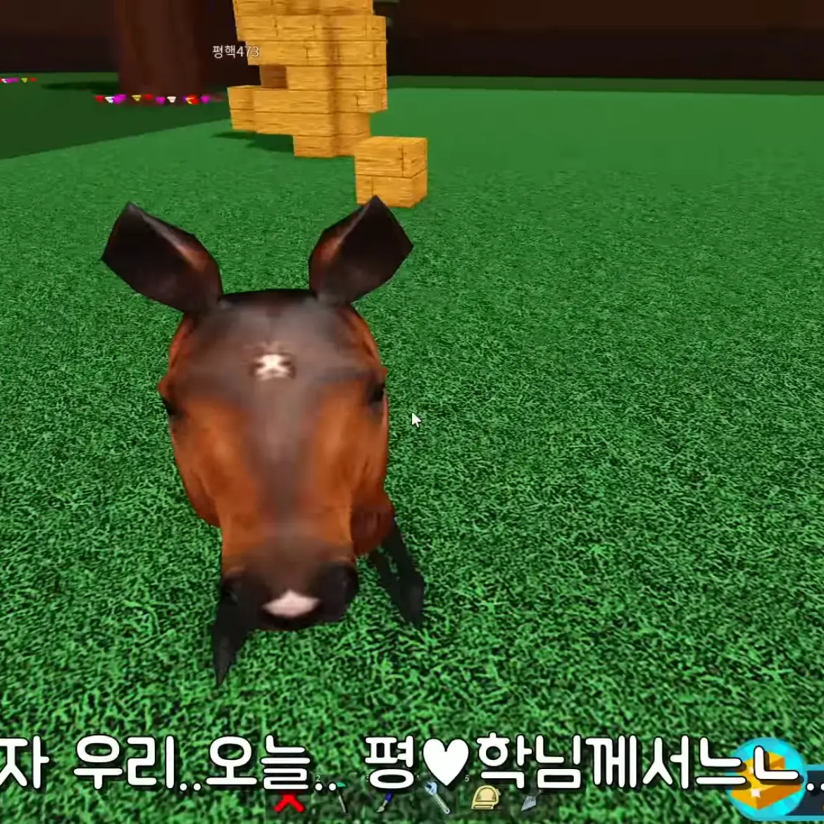 ThickTray8785의 오비스트들과 동거임