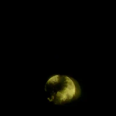 Profile image of 유ㅈㅎ