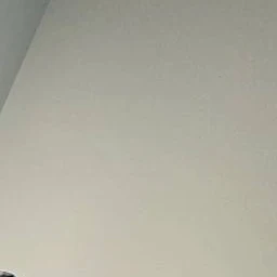 최연준