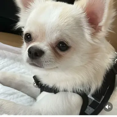 Profile image of ふーちゃん