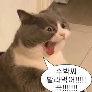 Profile image of 준브레드