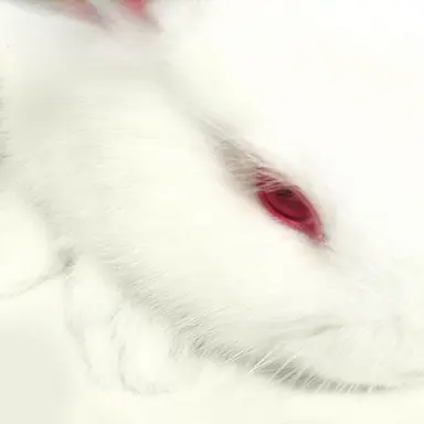 Profile image of ミョ_ユヒョン