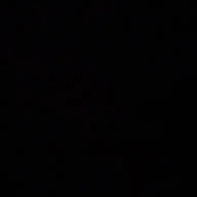 Profile image of 당신