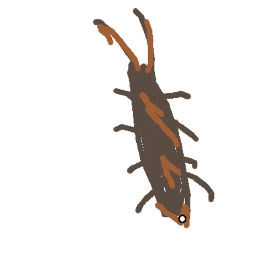 여우