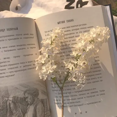 Profile image of 김민정