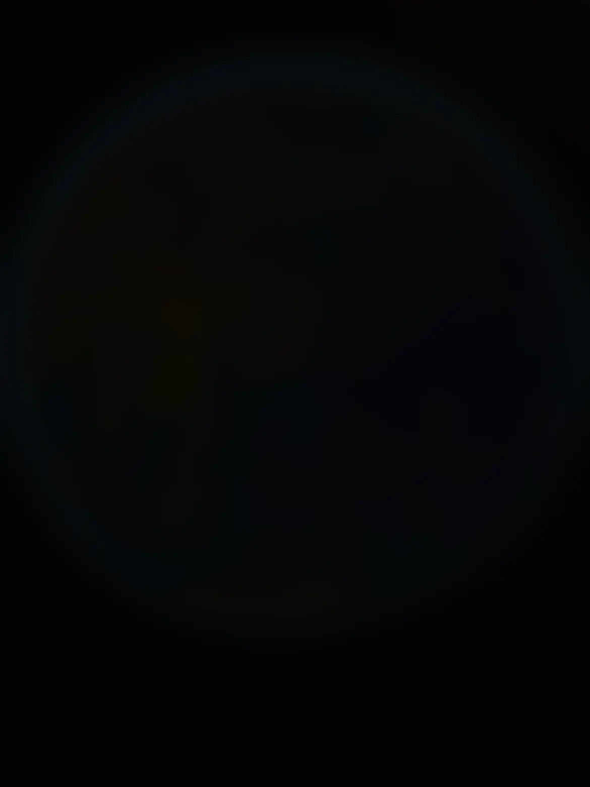 paru1004의 自分用