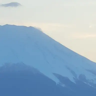 Profile image of タフ