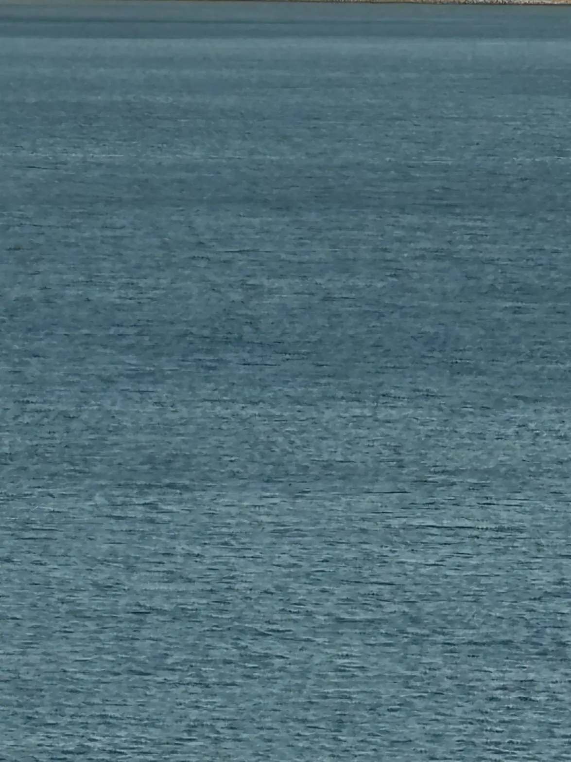 ChewyLiver6035의 いたい？