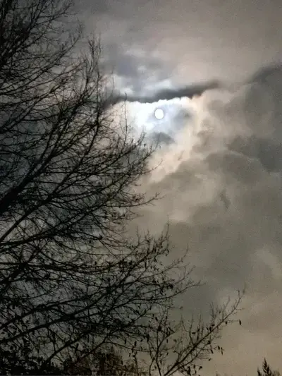 HumblePug2829의 Harry potters sister