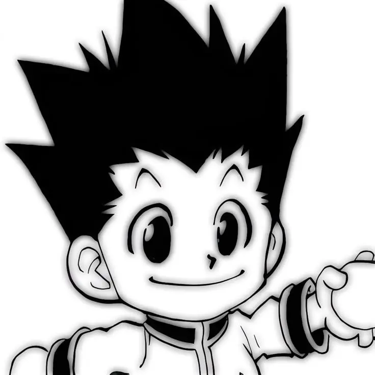 NosyTwig1424의 HUNTER × HUNTER
