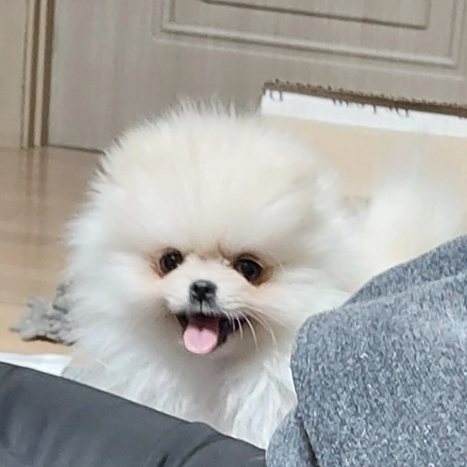 김겨울