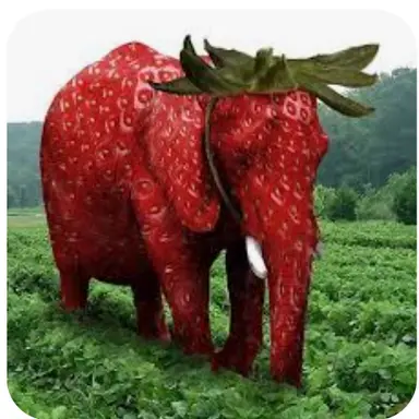 Profile image of ストロベリーエレファ