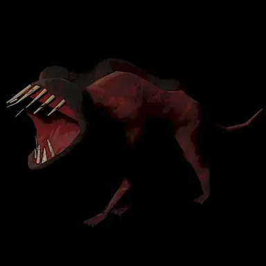 Profile image of 目のない犬