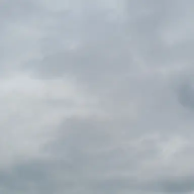 Profile image of 잠뜰