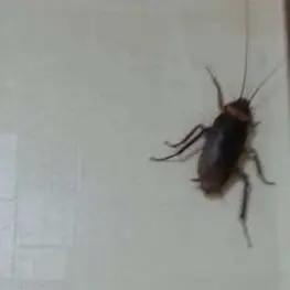 Profile image of 바선생