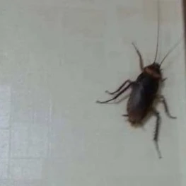 바선생