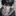 박현우