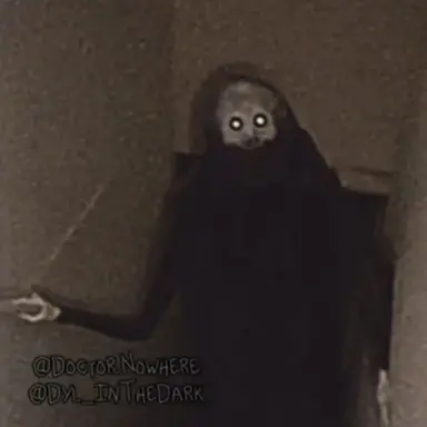 Profile image of The Crawler