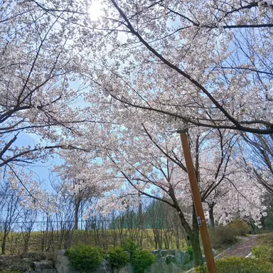 Profile image of 김서윤