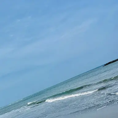 Profile image of コンプレス