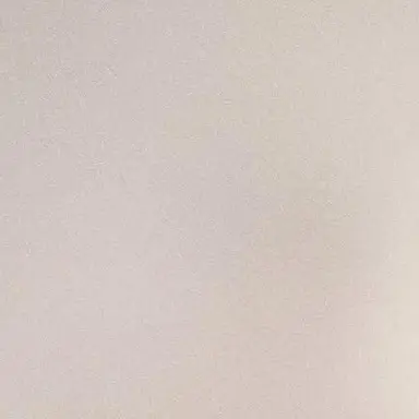 Profile image of 大森元貴