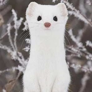 남사친 황현진