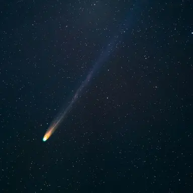 Profile image of 미지