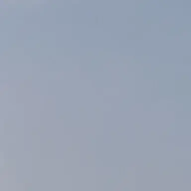 Profile image of 뜰팁