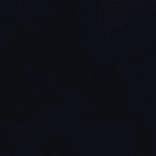 김선우