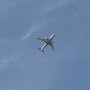 Profile image of カヤ