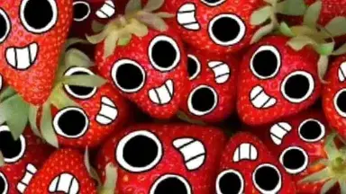 Profile image of Sprout