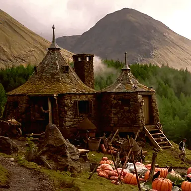 Profile image of Rubeus Hagrid