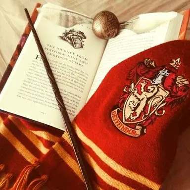 Profile image of Harry Potter