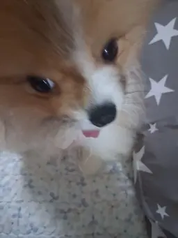 Profile image of 왕별이
